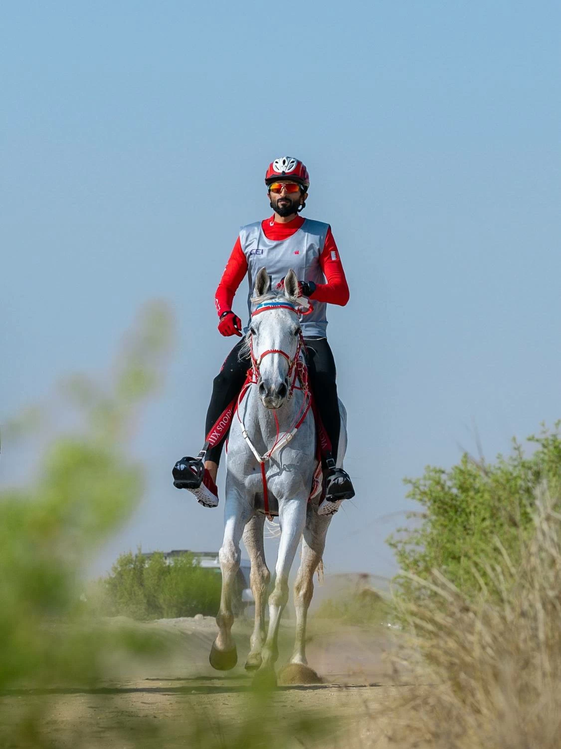 ناصر بن حمد يتصدر السباق الدولي التأهيلي للقدرة في دبي