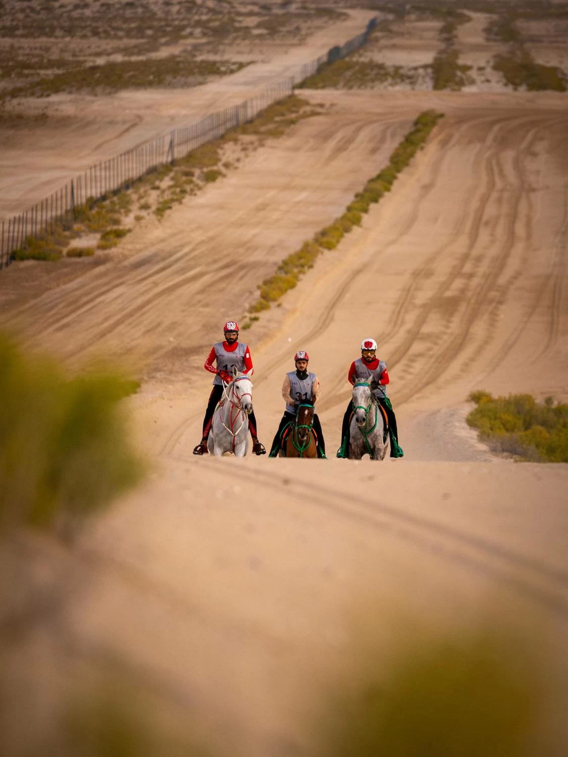 ناصر بن حمد يتصدر السباق الدولي التأهيلي للقدرة في دبي