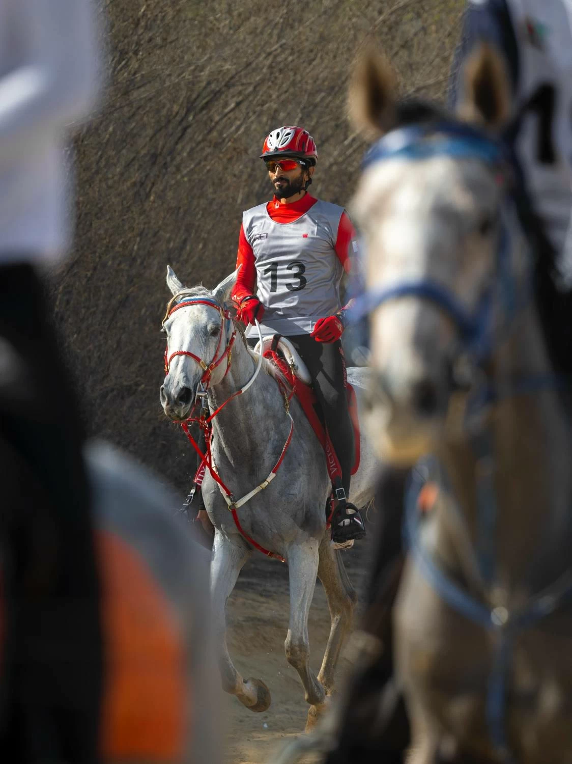 ناصر بن حمد يتصدر السباق الدولي التأهيلي للقدرة في دبي