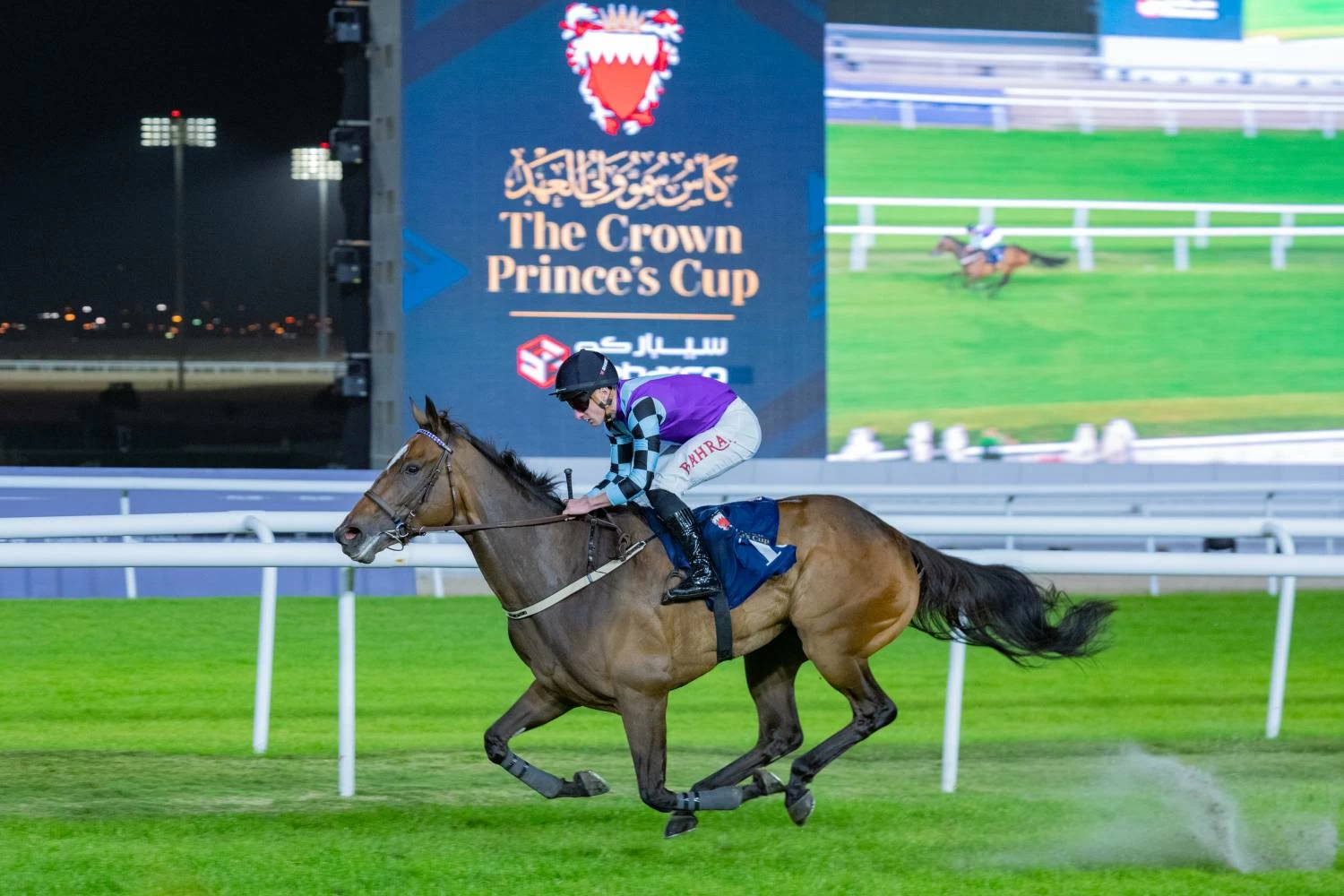 ولي العهد رئيس الوزراء: الكوادر الوطنية تسهم بعزيمة واقتدار في تطوير قطاع الخيل