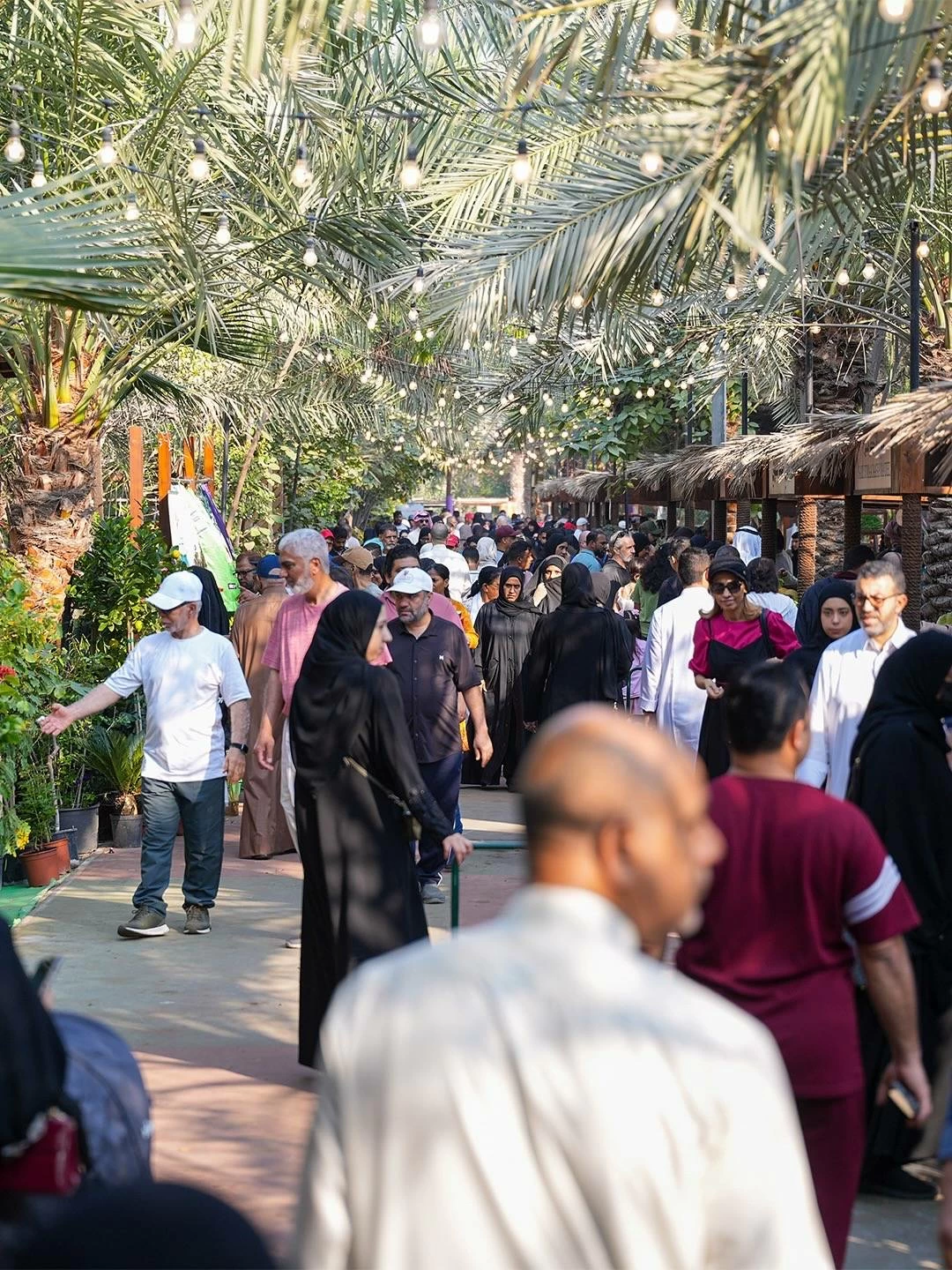 سوق المزارعين يواصل أسبوعه التاسع بأصناف زراعية متنوعة وإقبال جماهيري واسع