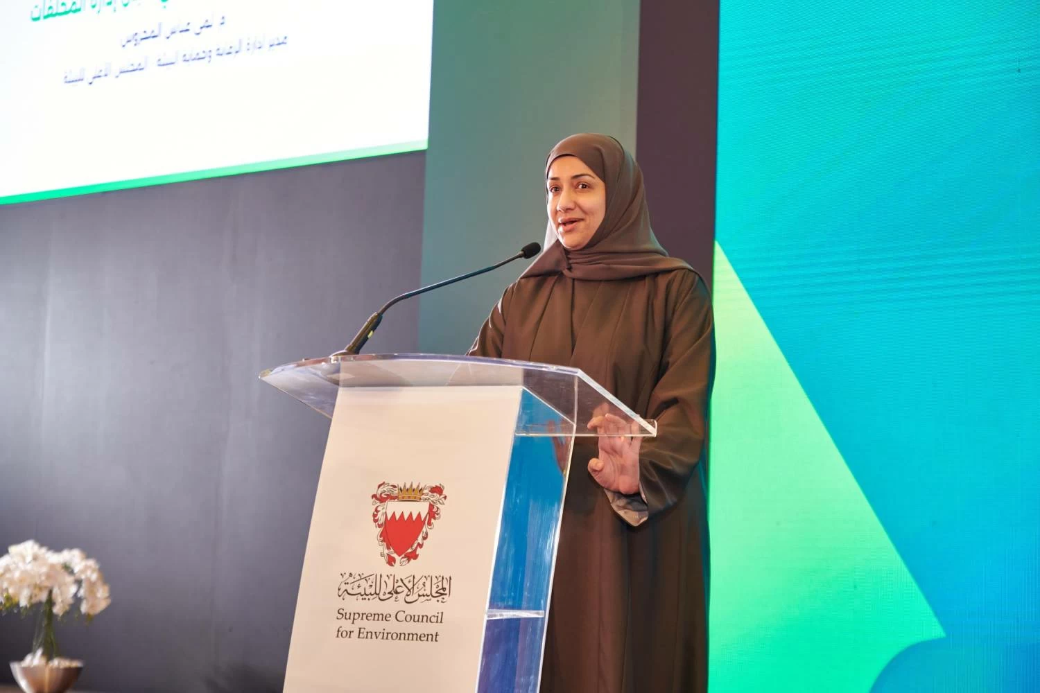 الرميحي تؤكد التزام المملكة بحماية البيئة ومواردها الطبيعية باعتبارها ركيزة للتنمية المستدامة ومستقبل الأجيال القادمة