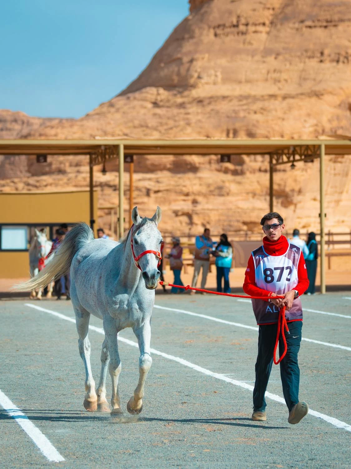 الفريق الملكي يستعد للمشاركة في &laquo;كأس الفرسان 2026&raquo; للقدرة في محافظة العلا