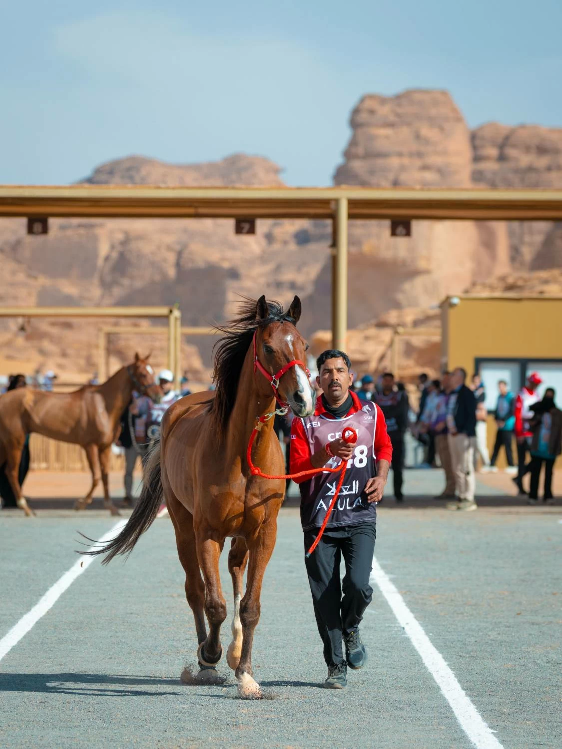 الفريق الملكي يستعد للمشاركة في &laquo;كأس الفرسان 2026&raquo; للقدرة في محافظة العلا