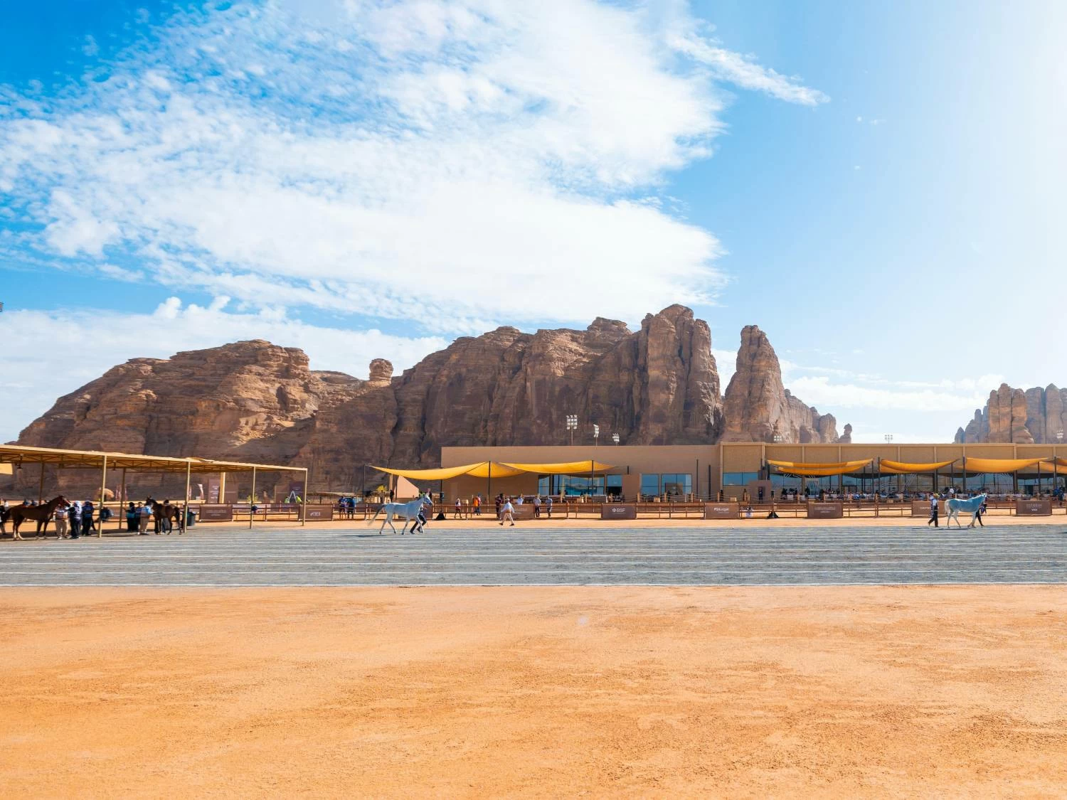 الفريق الملكي يستعد للمشاركة في &laquo;كأس الفرسان 2026&raquo; للقدرة في محافظة العلا