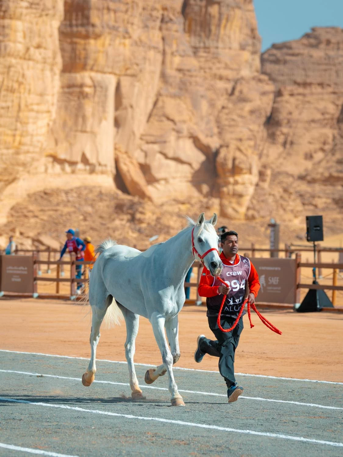 الفريق الملكي يستعد للمشاركة في &laquo;كأس الفرسان 2026&raquo; للقدرة في محافظة العلا