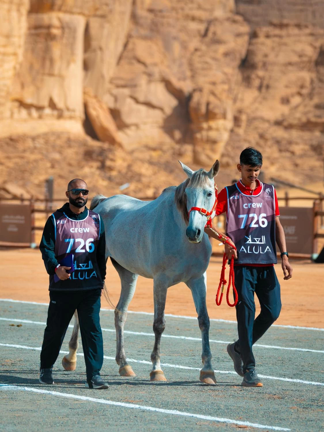 الفريق الملكي يستعد للمشاركة في &laquo;كأس الفرسان 2026&raquo; للقدرة في محافظة العلا