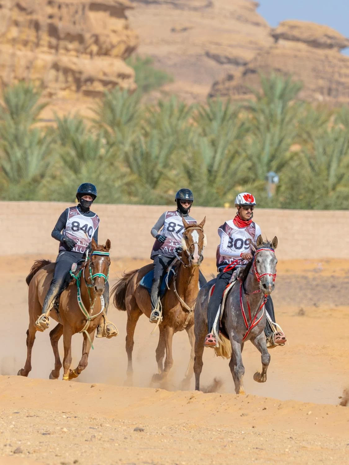 مستويات جيدة لفرسان الفريق الملكي في بطولة كأس الفرسان 2026 للقدرة بمحافظة العُلا