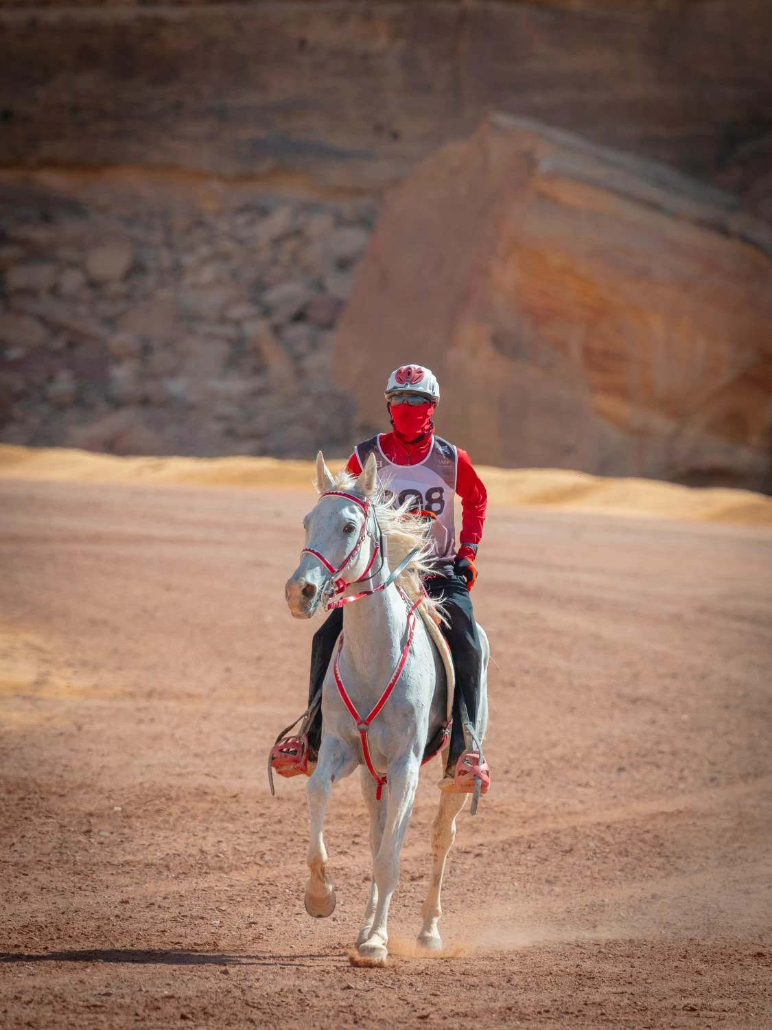 مستويات جيدة لفرسان الفريق الملكي في بطولة كأس الفرسان 2026 للقدرة بمحافظة العُلا