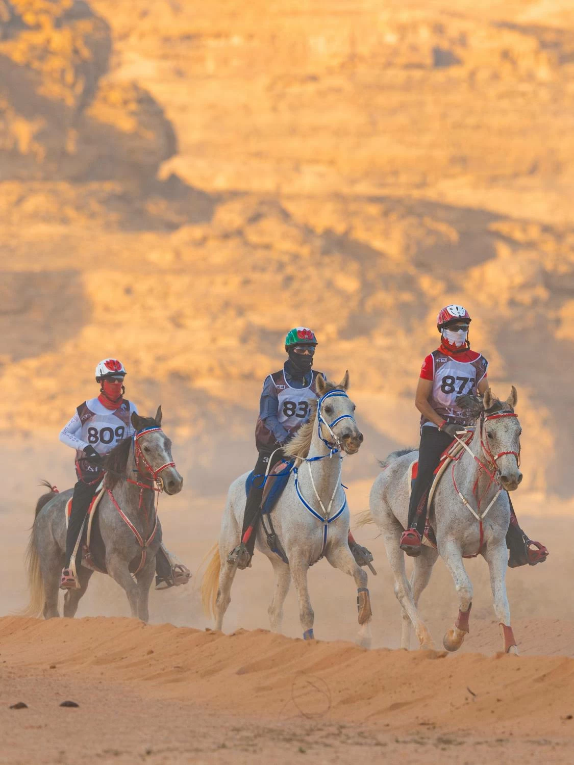 مستويات جيدة لفرسان الفريق الملكي في بطولة كأس الفرسان 2026 للقدرة بمحافظة العُلا