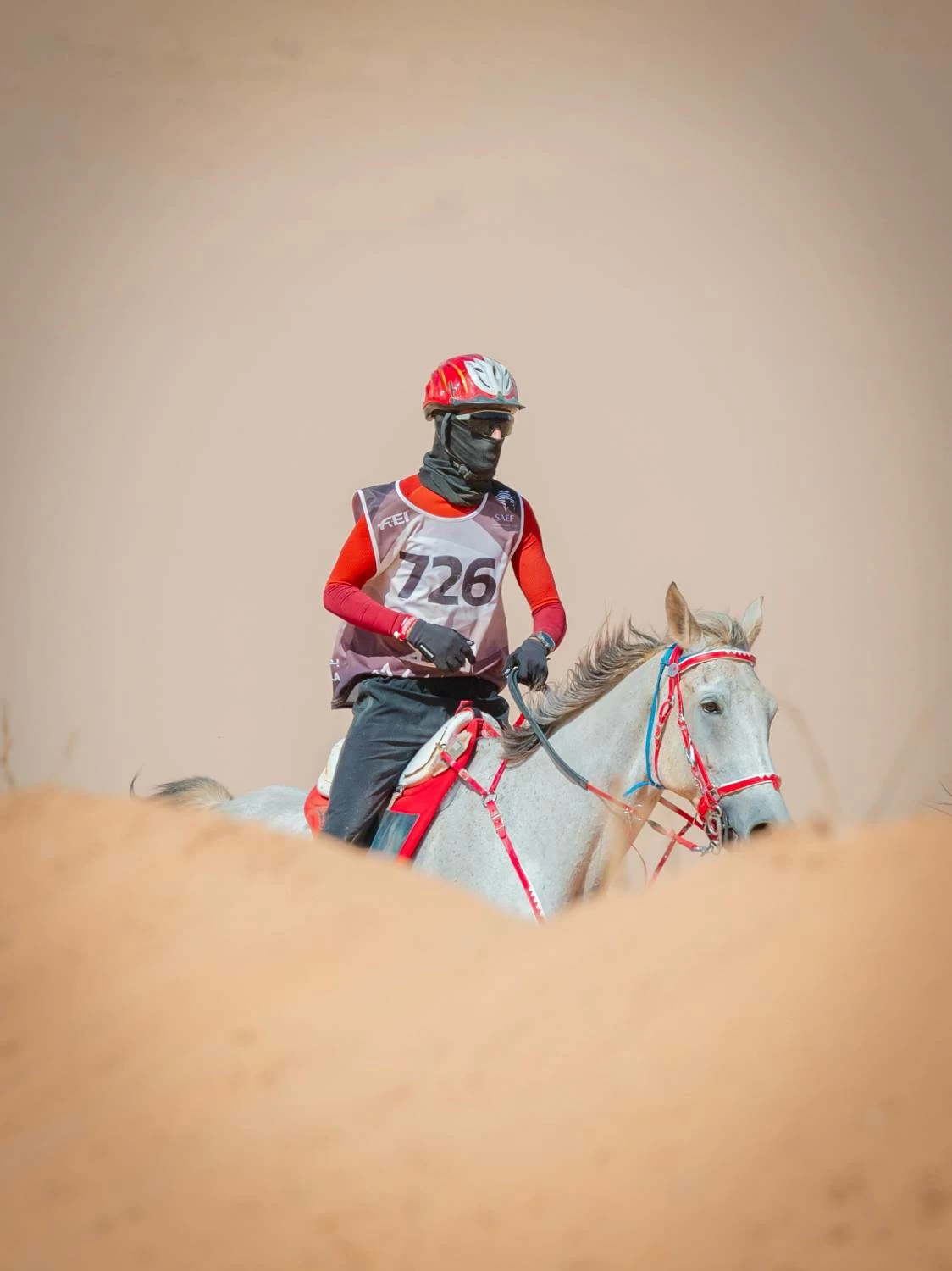 مستويات جيدة لفرسان الفريق الملكي في بطولة كأس الفرسان 2026 للقدرة بمحافظة العُلا