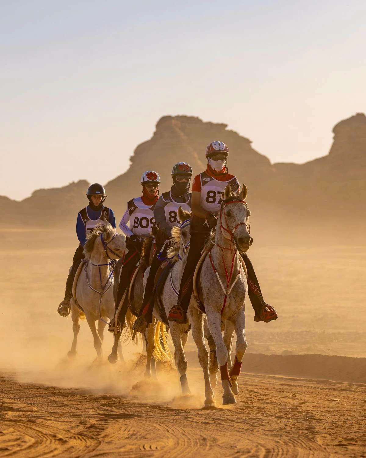 مستويات جيدة لفرسان الفريق الملكي في بطولة كأس الفرسان 2026 للقدرة بمحافظة العُلا