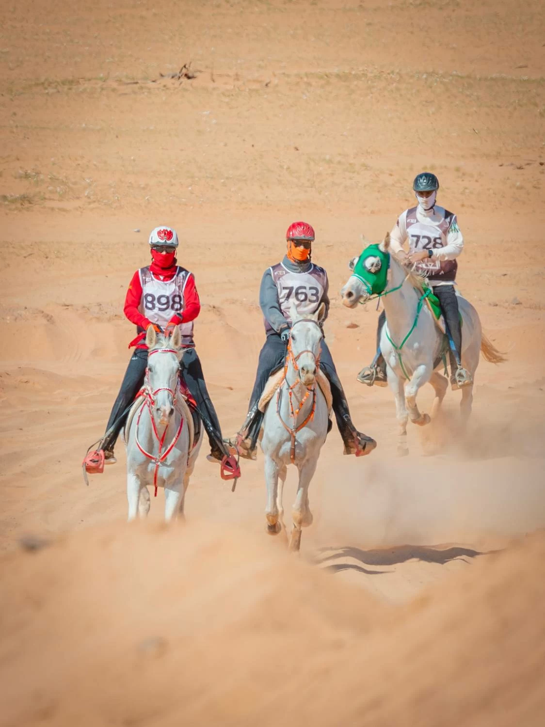 مستويات جيدة لفرسان الفريق الملكي في بطولة كأس الفرسان 2026 للقدرة بمحافظة العُلا