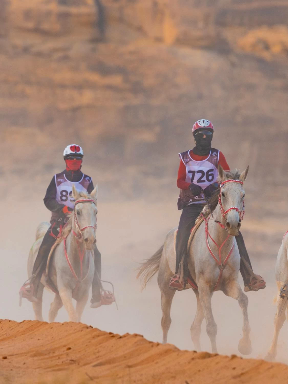 مستويات جيدة لفرسان الفريق الملكي في بطولة كأس الفرسان 2026 للقدرة بمحافظة العُلا