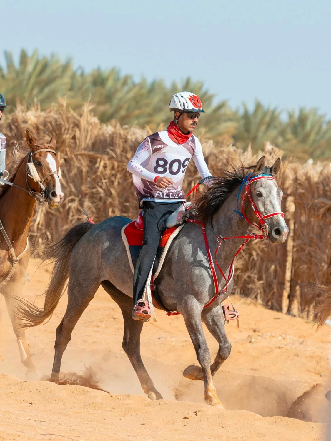 مستويات جيدة لفرسان الفريق الملكي في بطولة كأس الفرسان 2026 للقدرة بمحافظة العُلا