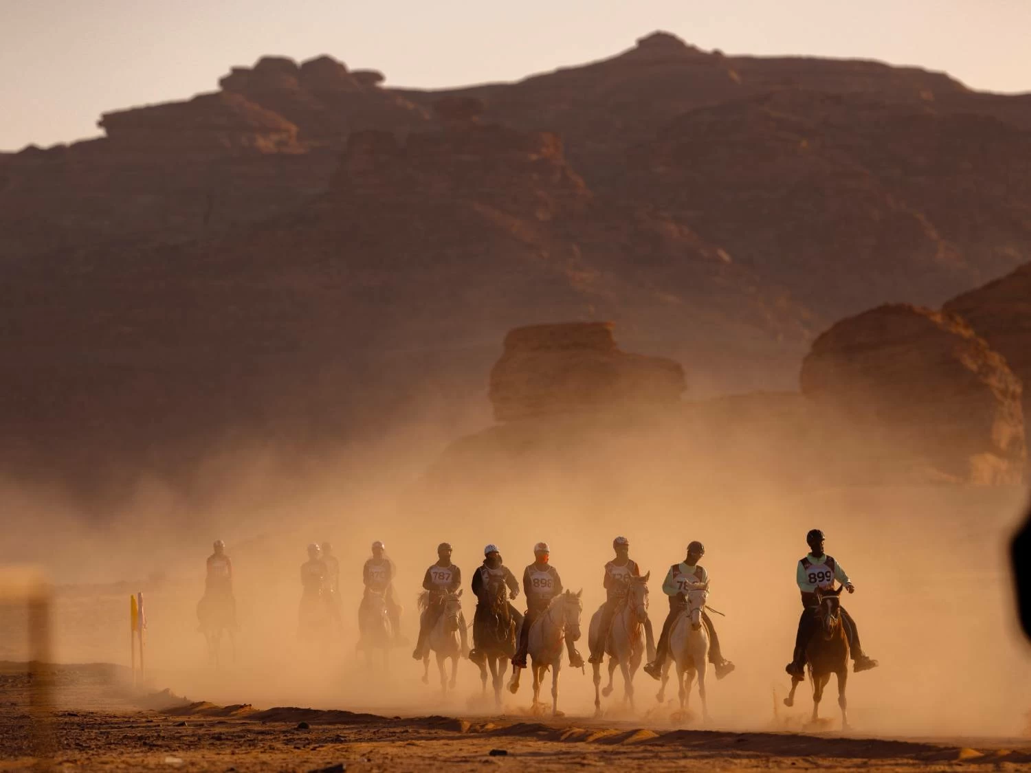 مستويات جيدة لفرسان الفريق الملكي في بطولة كأس الفرسان 2026 للقدرة بمحافظة العُلا