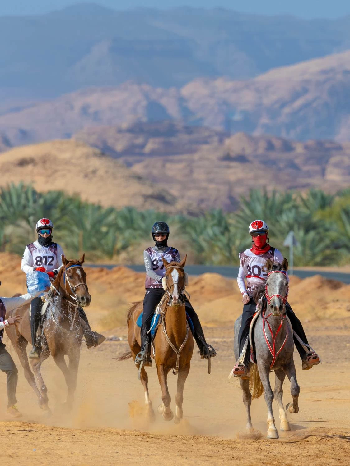 مستويات جيدة لفرسان الفريق الملكي في بطولة كأس الفرسان 2026 للقدرة بمحافظة العُلا