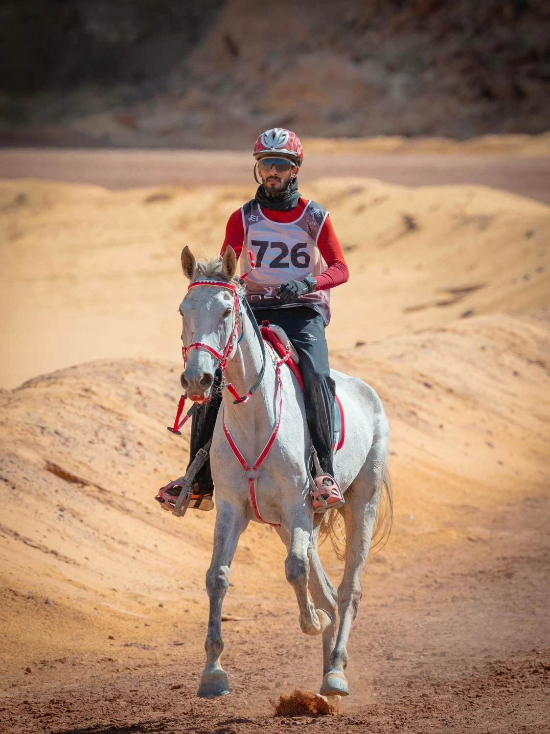 مستويات جيدة لفرسان الفريق الملكي في بطولة كأس الفرسان 2026 للقدرة بمحافظة العُلا