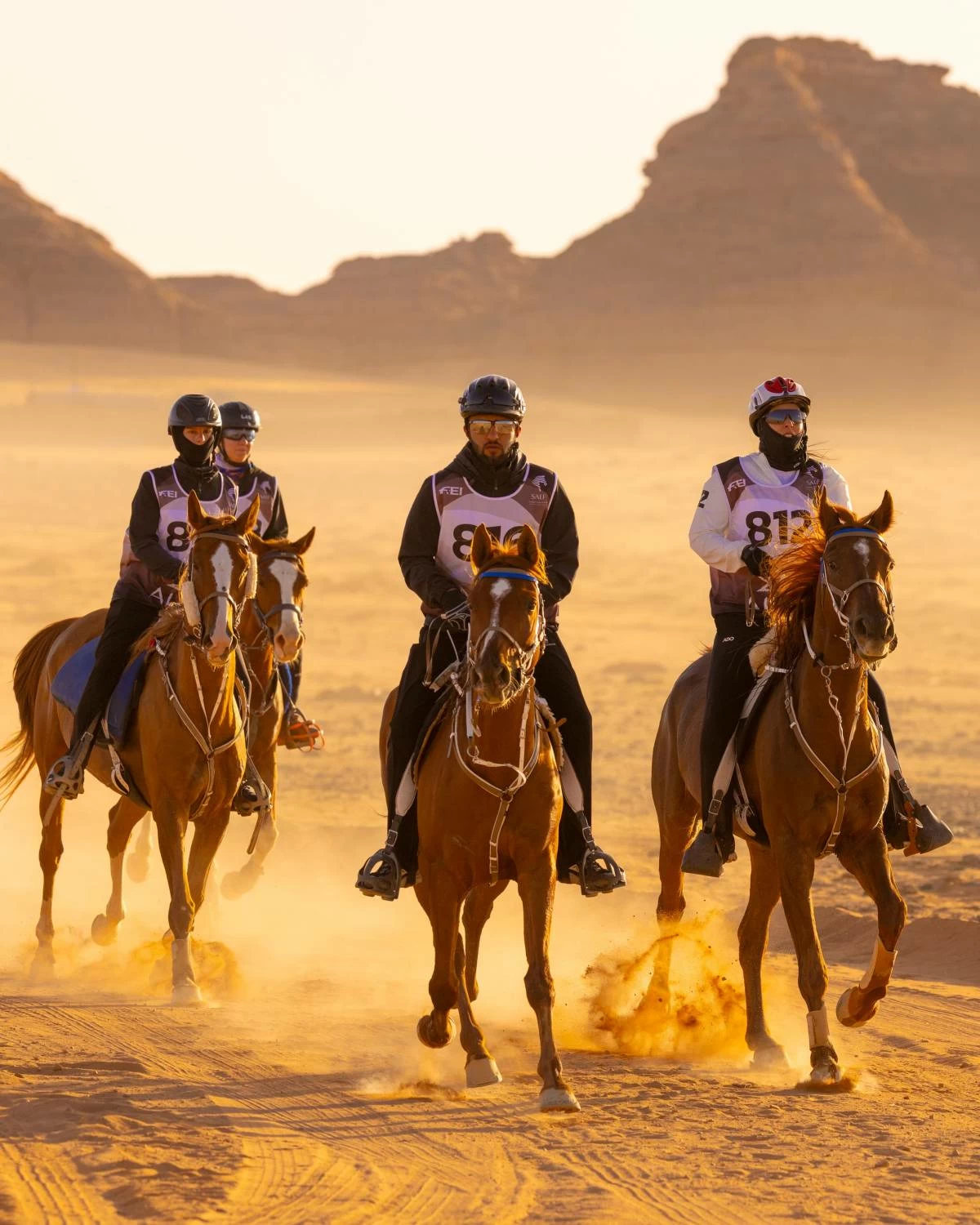 مستويات جيدة لفرسان الفريق الملكي في بطولة كأس الفرسان 2026 للقدرة بمحافظة العُلا