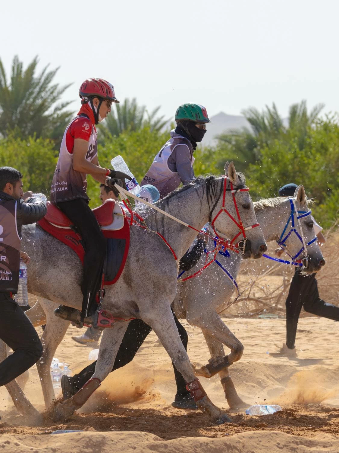 مستويات جيدة لفرسان الفريق الملكي في بطولة كأس الفرسان 2026 للقدرة بمحافظة العُلا