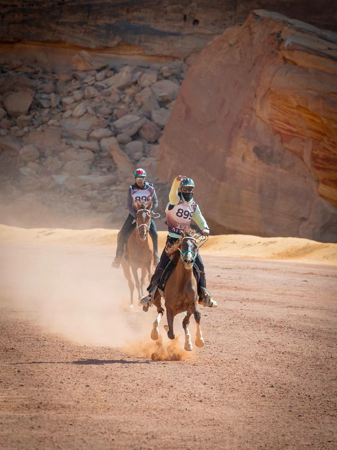 مستويات جيدة لفرسان الفريق الملكي في بطولة كأس الفرسان 2026 للقدرة بمحافظة العُلا