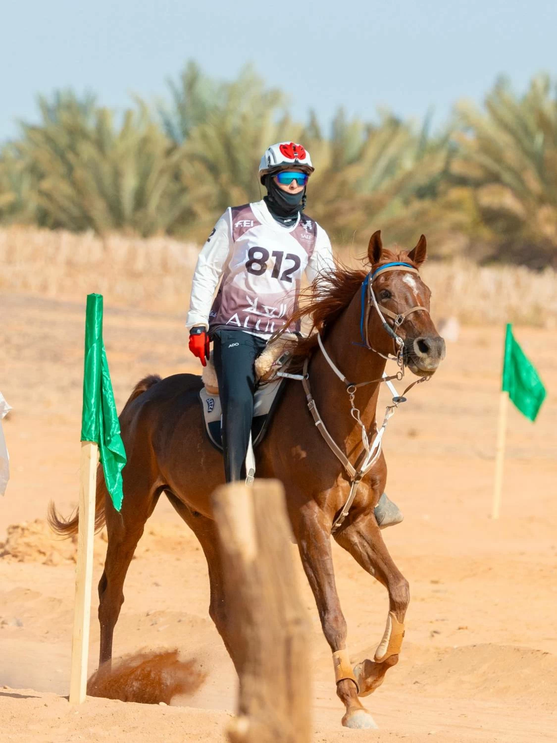 مستويات جيدة لفرسان الفريق الملكي في بطولة كأس الفرسان 2026 للقدرة بمحافظة العُلا