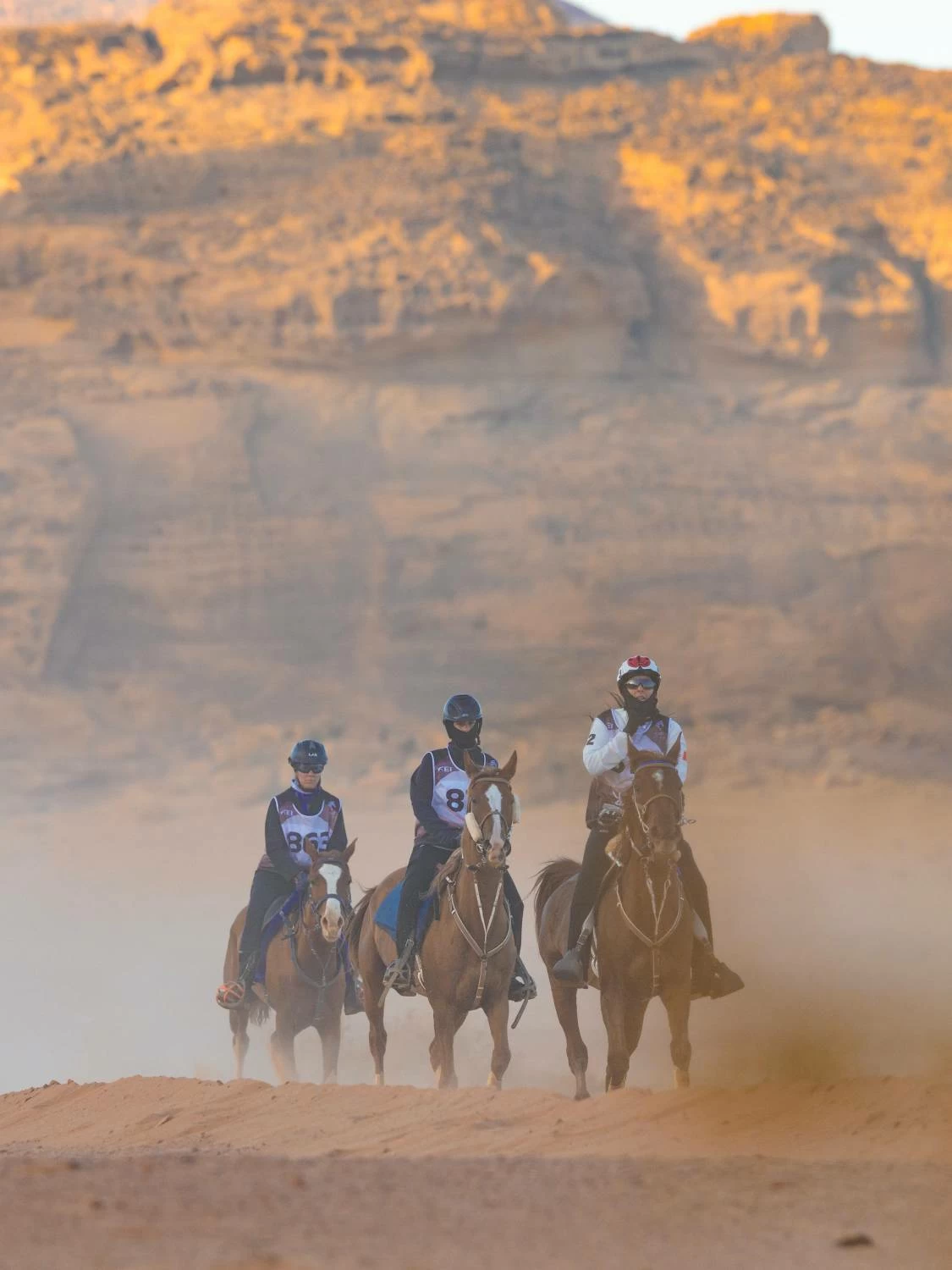 مستويات جيدة لفرسان الفريق الملكي في بطولة كأس الفرسان 2026 للقدرة بمحافظة العُلا