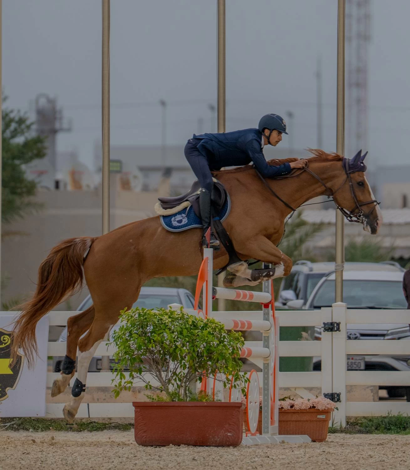 ختام بطولة خالد بن حمد آل خليفة الدولية لقفز الحواجز بميدان الرفه