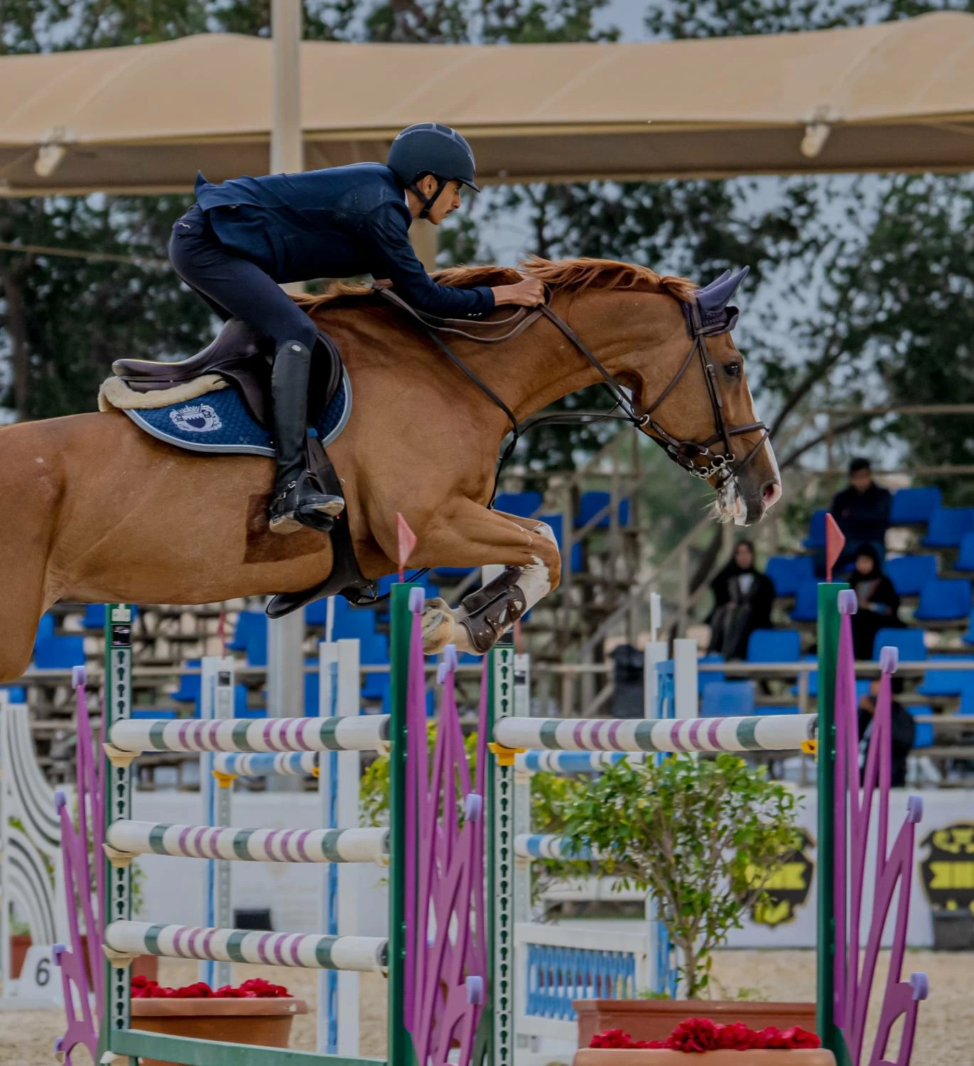 ختام بطولة خالد بن حمد آل خليفة الدولية لقفز الحواجز بميدان الرفه