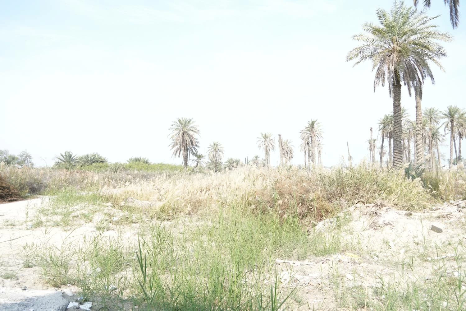 &laquo;أولى الشمالية&raquo;.. طفرة عمرانية متسارعة وتطوير مستمر للبنية التحتية