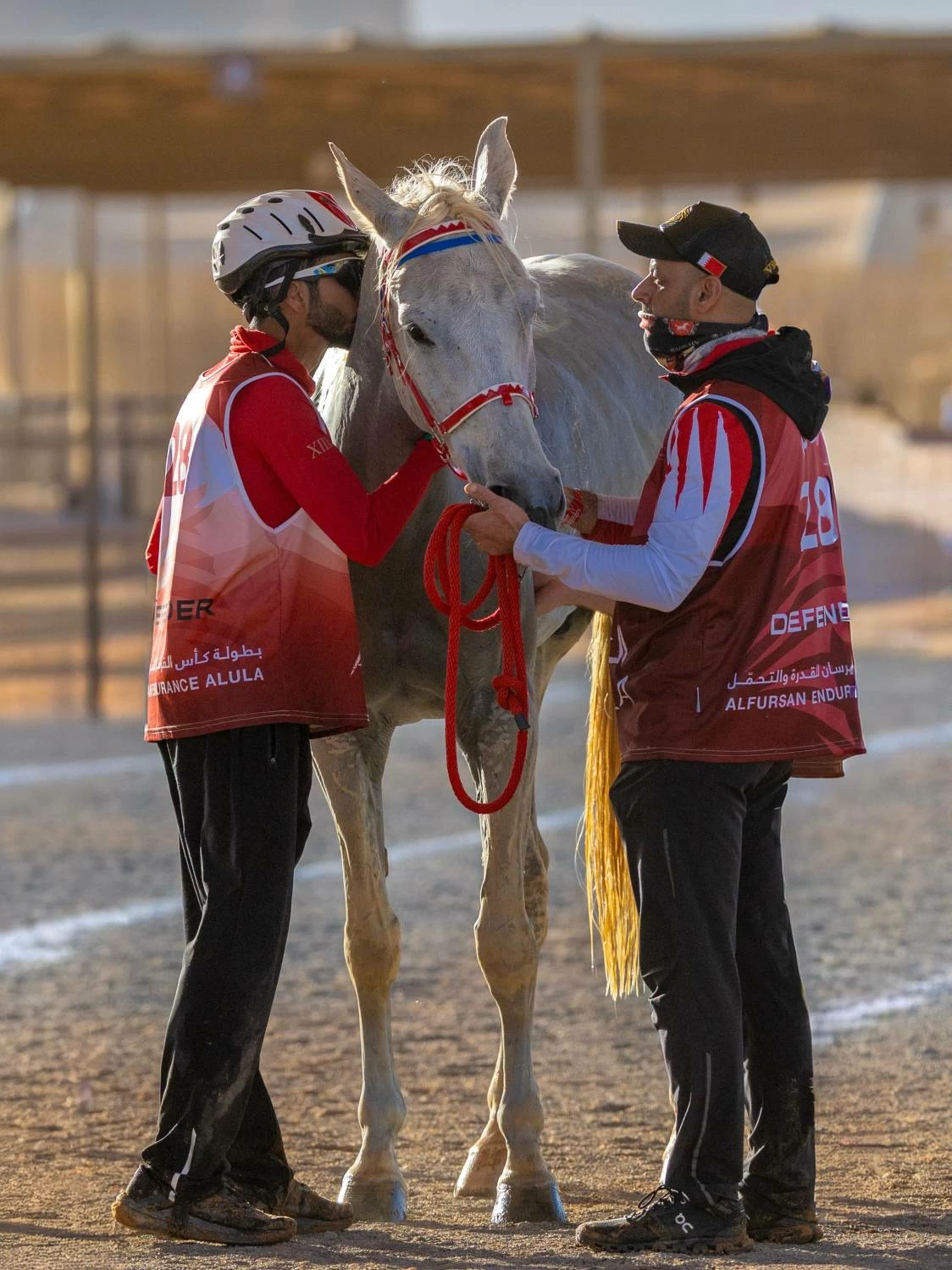 الفريق الملكي ينهي مشاركته في بطولة قرية المعتدل للقدرة