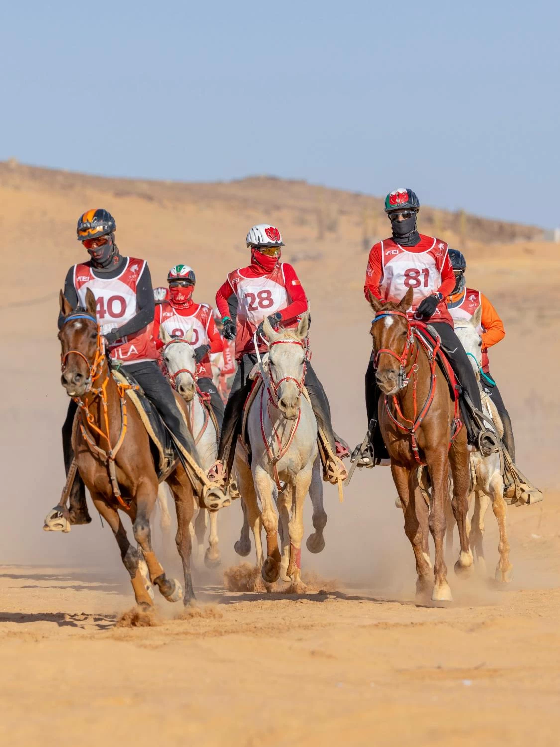 الفريق الملكي ينهي مشاركته في بطولة قرية المعتدل للقدرة