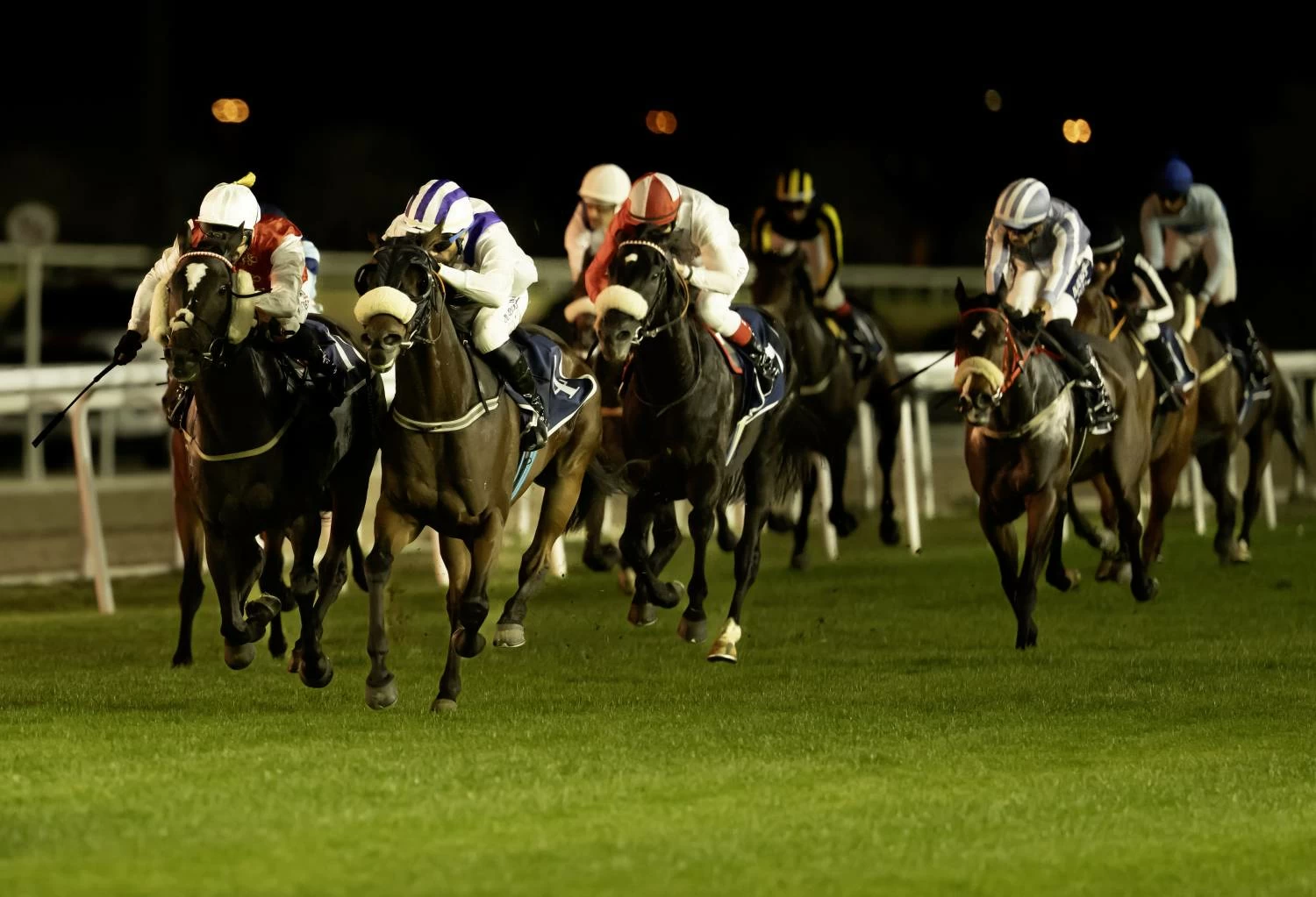 السباق التاسع عشر يُقام يوم الخميس بمشاركة كبيرة على كؤوس آل شريف وكراون اندستريز وسافرة