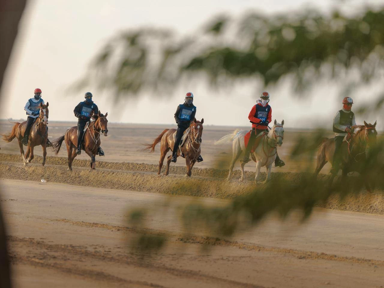 الاتحاد الملكي ينظم مهرجان كأس حضرة صاحب الجلالة الملك المعظم لسباق القدرة