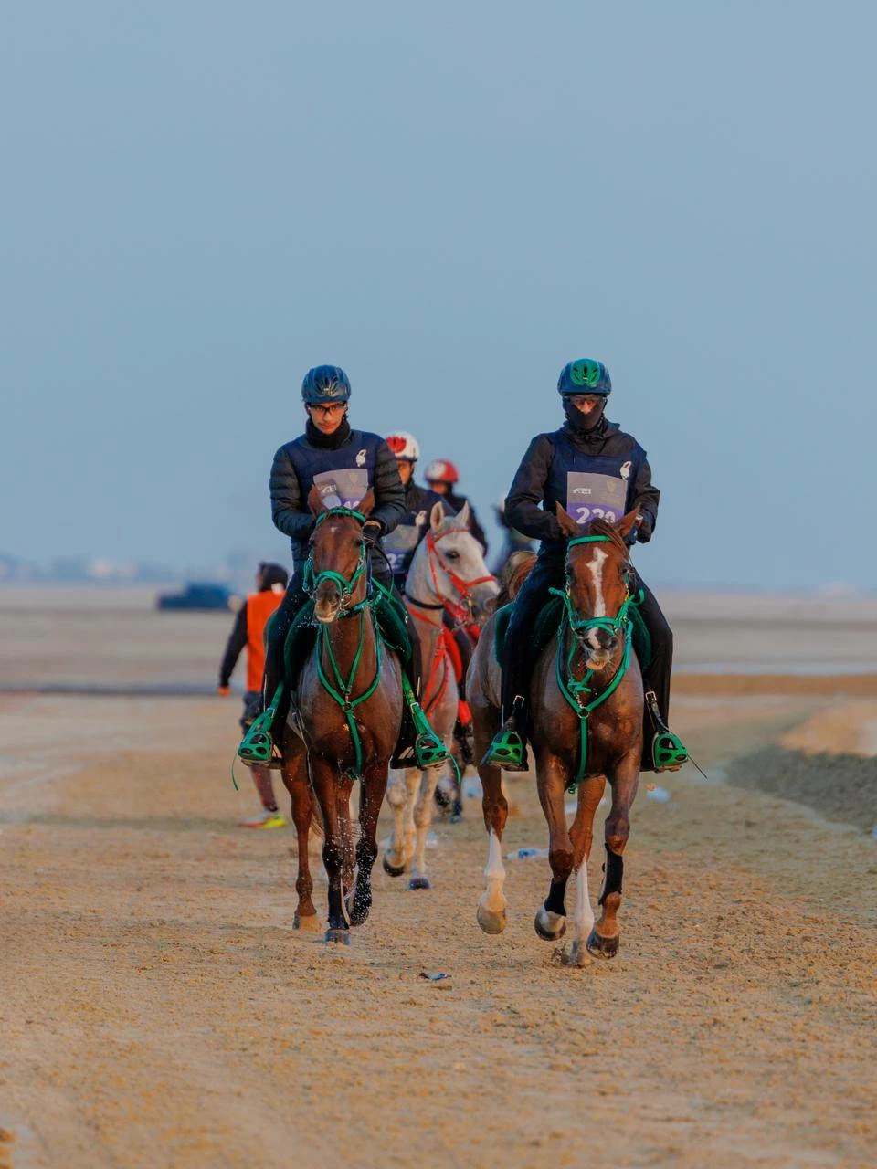 الاتحاد الملكي ينظم مهرجان كأس حضرة صاحب الجلالة الملك المعظم لسباق القدرة