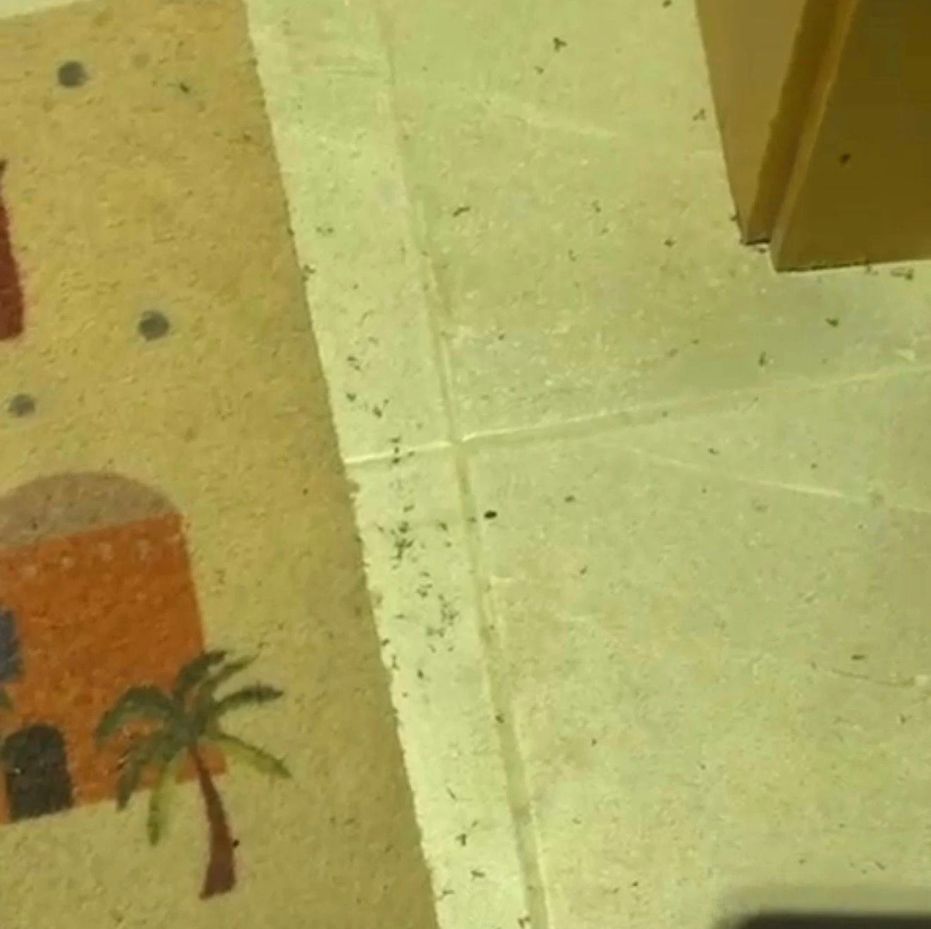 معاناة مستمرة في &laquo;دانات اللوزي&raquo; بسبب &laquo;الهاموش&raquo; ومطالبات بحل جذري