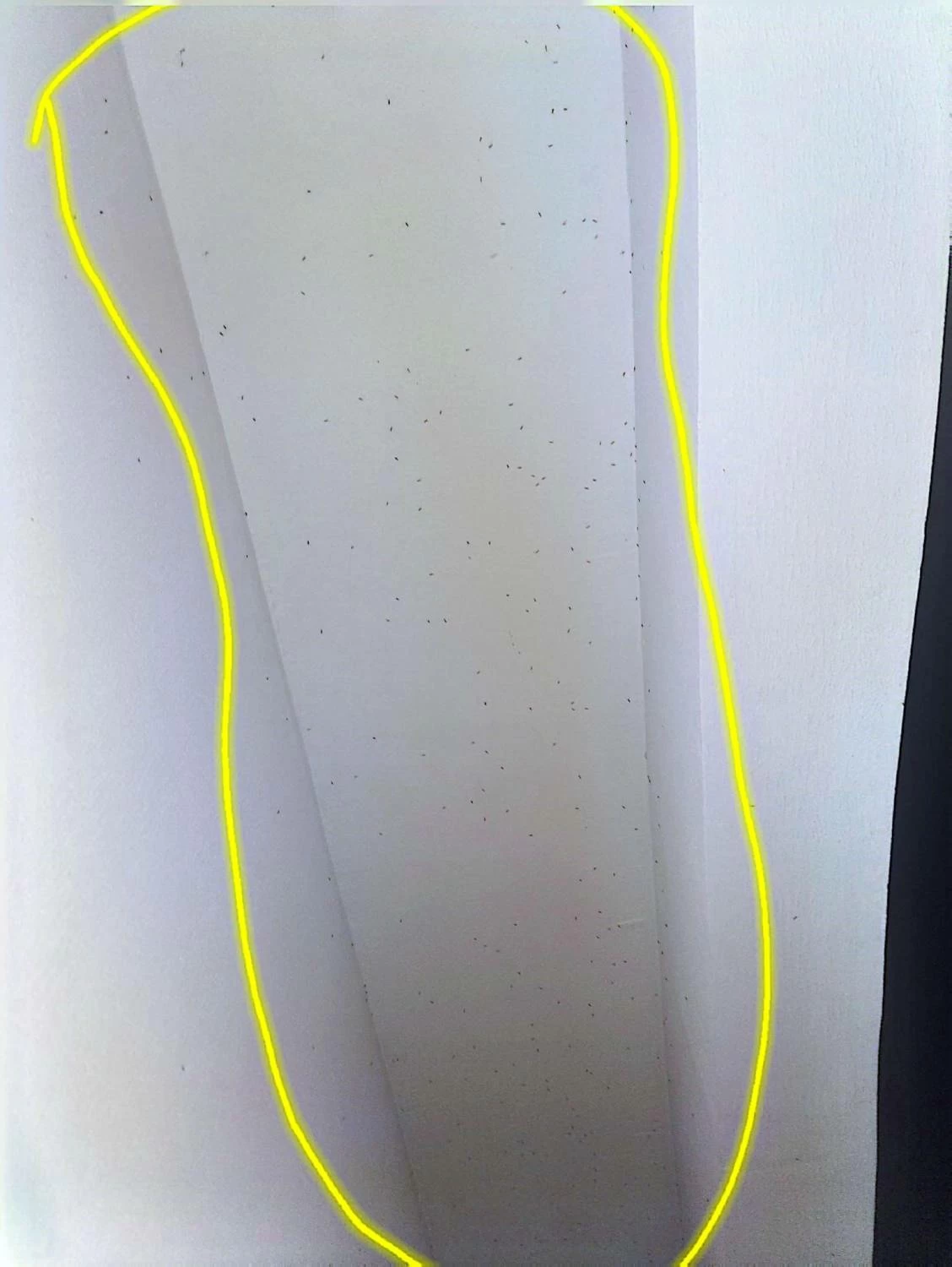 معاناة مستمرة في &laquo;دانات اللوزي&raquo; بسبب &laquo;الهاموش&raquo; ومطالبات بحل جذري