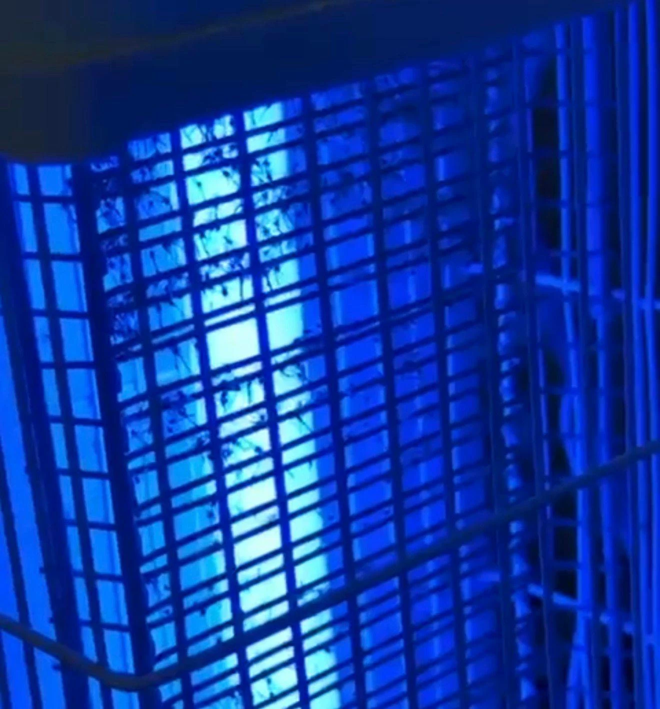 معاناة مستمرة في &laquo;دانات اللوزي&raquo; بسبب &laquo;الهاموش&raquo; ومطالبات بحل جذري