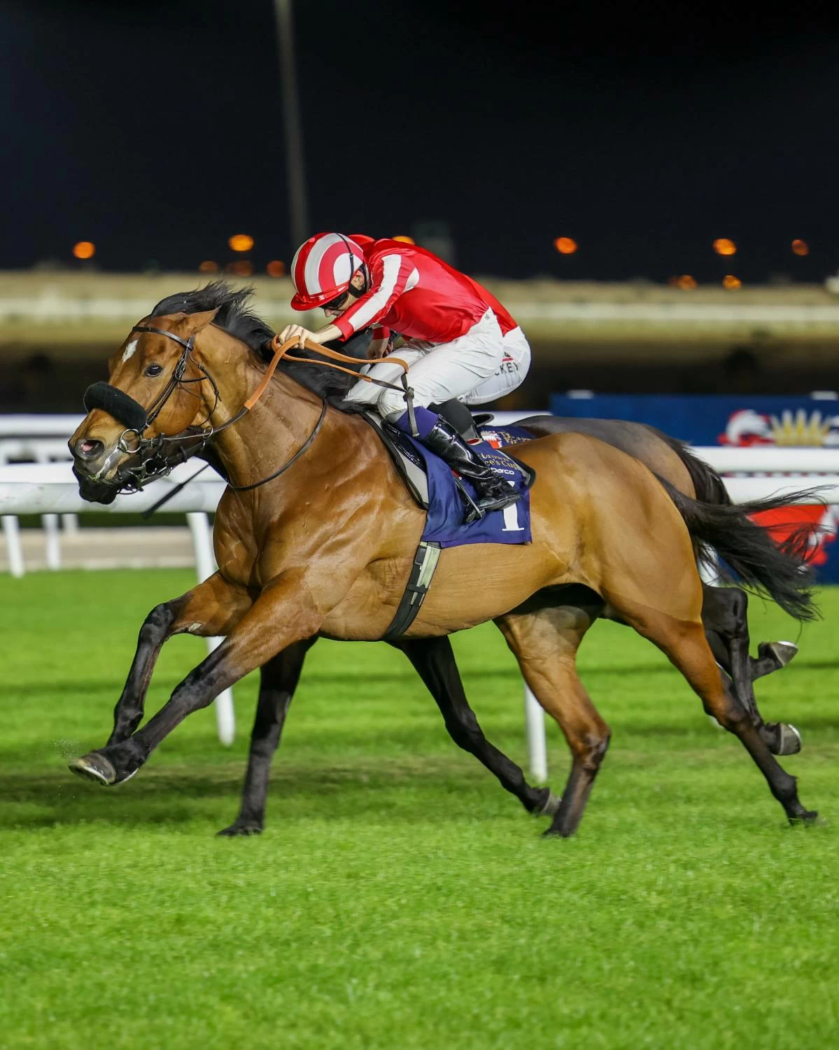 خمس مشاركات للجياد البحرينية في كأس السعودية ضمن أكبر سباقات الخيل العالمية