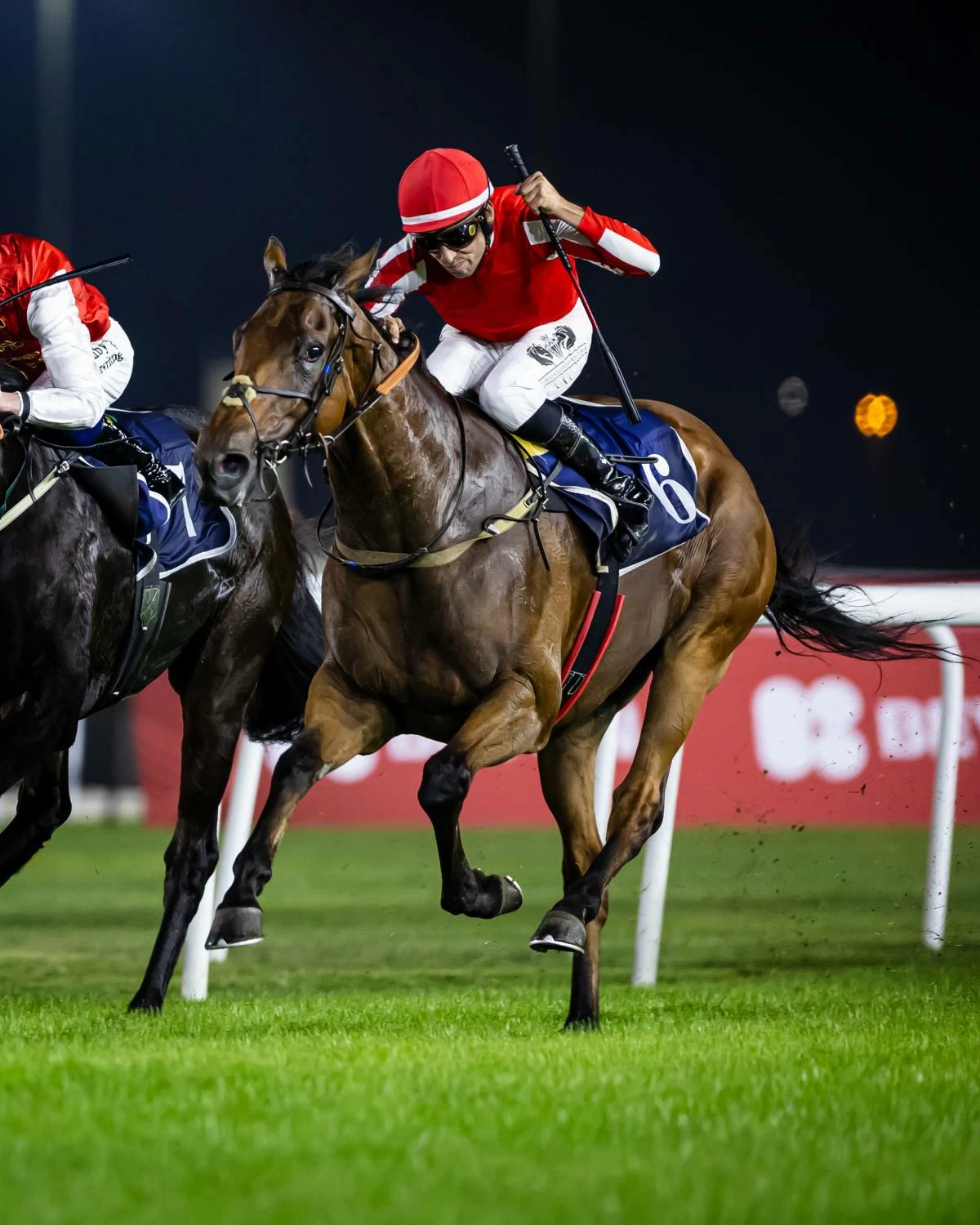 خمس مشاركات للجياد البحرينية في كأس السعودية ضمن أكبر سباقات الخيل العالمية