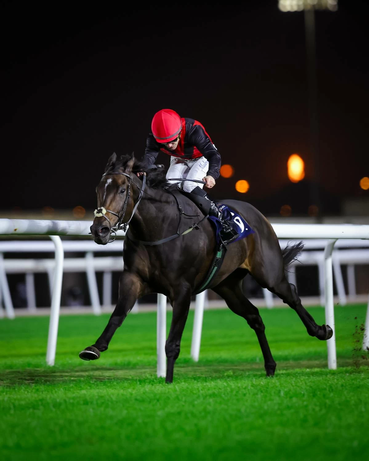 خمس مشاركات للجياد البحرينية في كأس السعودية ضمن أكبر سباقات الخيل العالمية