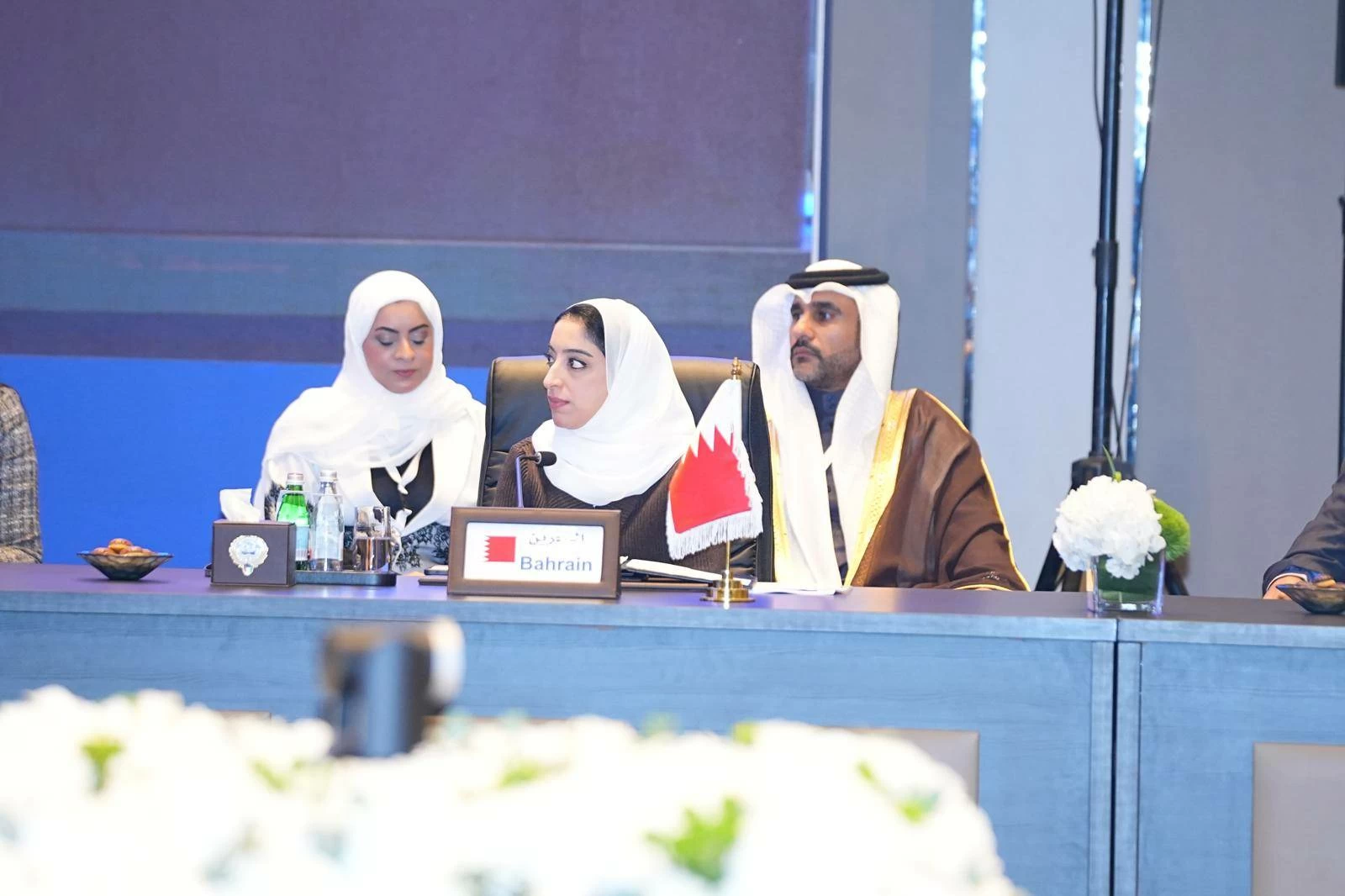 وزيرة السياحة تشارك في الاجتماع اللجنة الإقليمية للشرق الأوسط بمنظمة الأمم المتحدة للسياحة