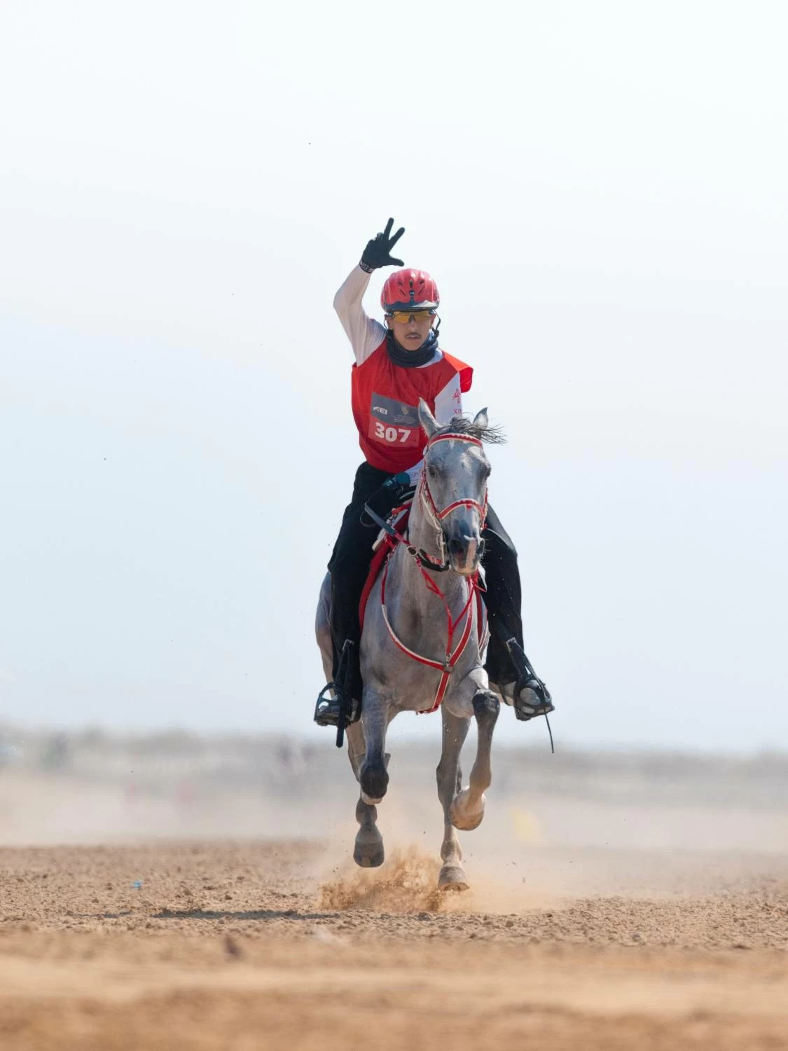 ناصر بن حمد يتوج &laquo;فيكتوريوس&raquo; بطلاً لكأس الملك للناشئين والشباب للقدرة