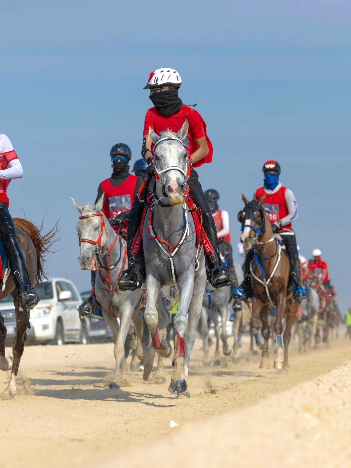 ناصر بن حمد يتوج &laquo;فيكتوريوس&raquo; بطلاً لكأس الملك للناشئين والشباب للقدرة