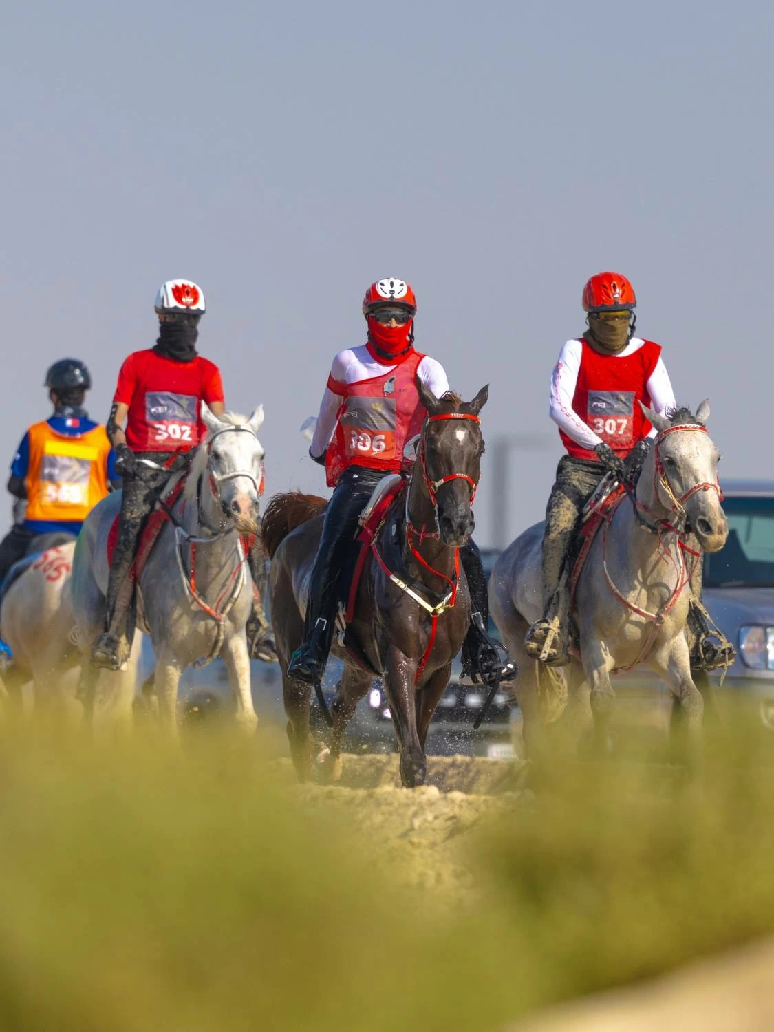 ناصر بن حمد يتوج &laquo;فيكتوريوس&raquo; بطلاً لكأس الملك للناشئين والشباب للقدرة