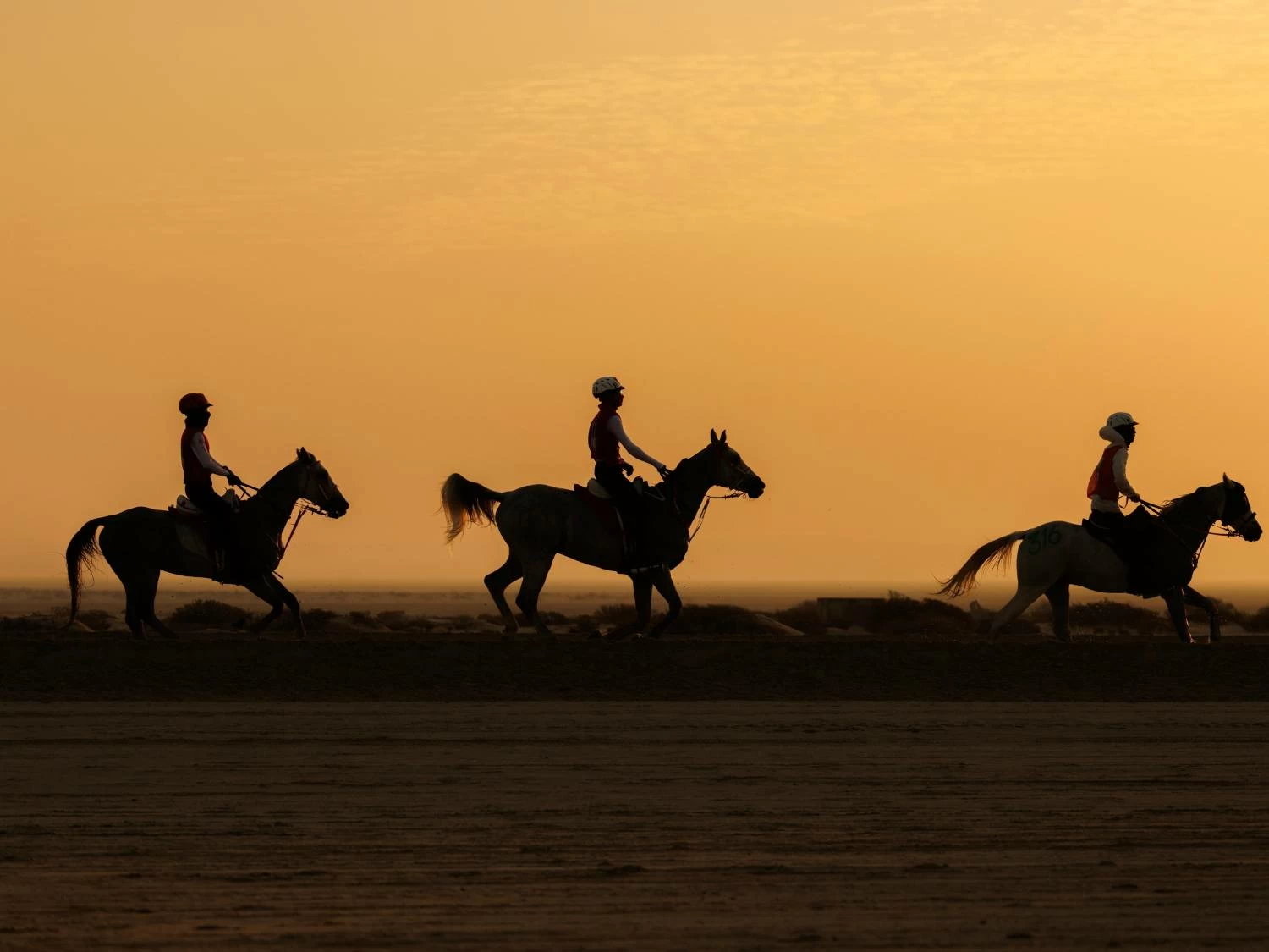 ناصر بن حمد يتوج &laquo;فيكتوريوس&raquo; بطلاً لكأس الملك للناشئين والشباب للقدرة