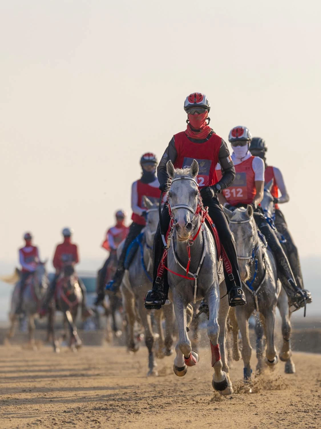 ناصر بن حمد يتوج &laquo;فيكتوريوس&raquo; بطلاً لكأس الملك للناشئين والشباب للقدرة
