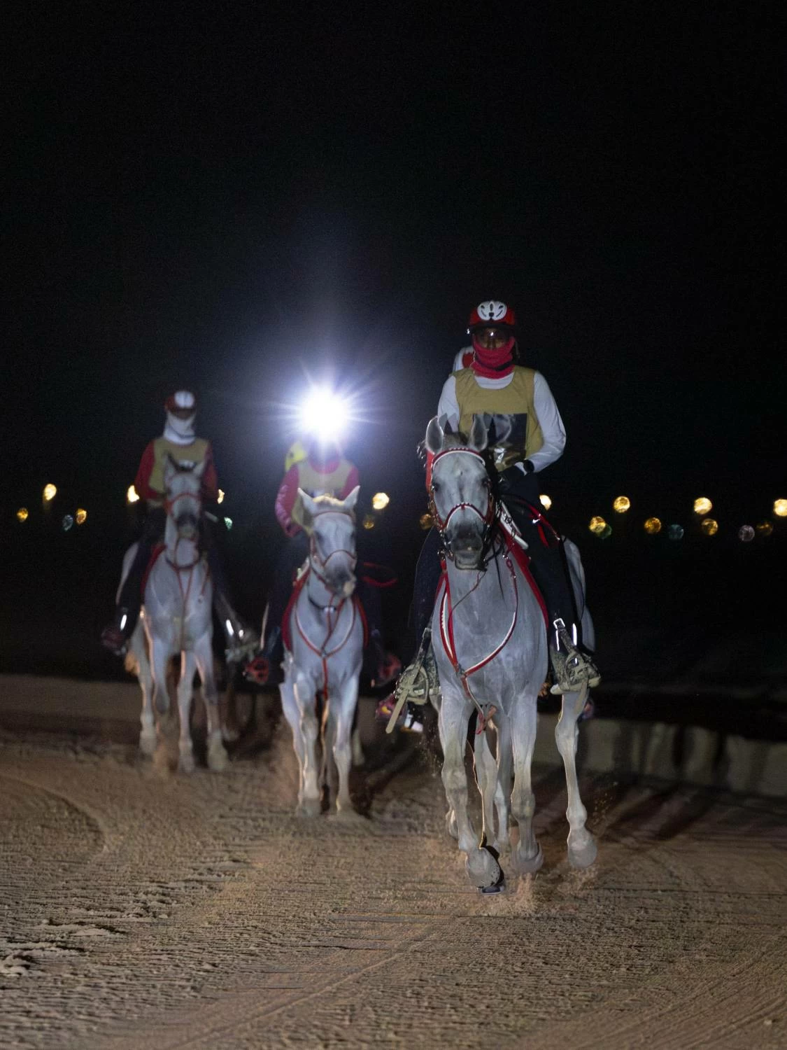 ناصر بن حمد يشهد ختام مهرجان كأس جلالة الملك المعظم لسباق القدرة