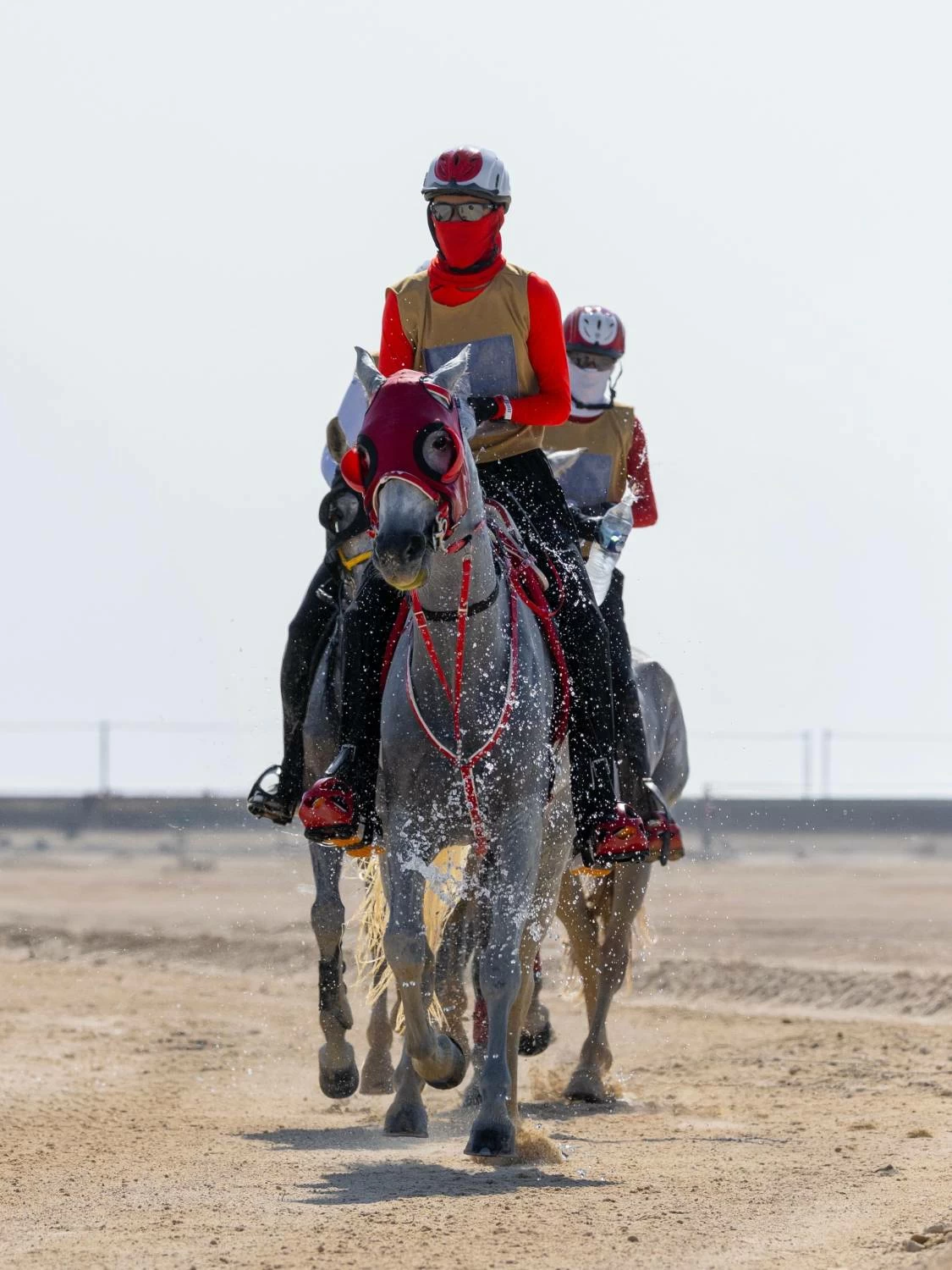 ناصر بن حمد يشهد ختام مهرجان كأس جلالة الملك المعظم لسباق القدرة
