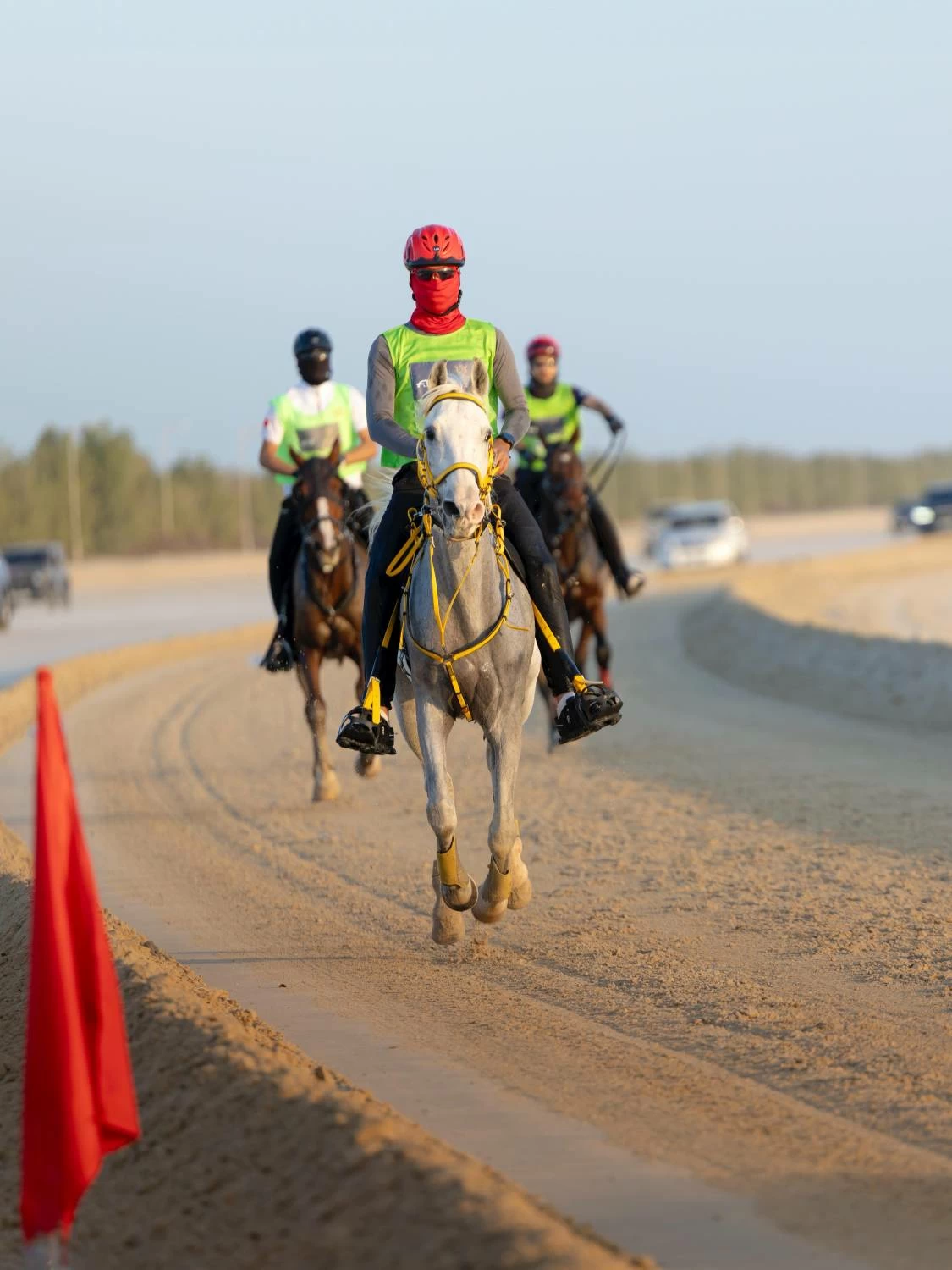 ناصر بن حمد يشهد ختام مهرجان كأس جلالة الملك المعظم لسباق القدرة